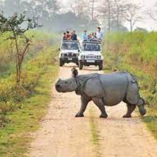 Kaziranga National Park - Plan Your Holyday