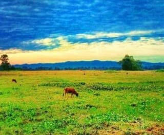 Majuli: India’s Largest River Island