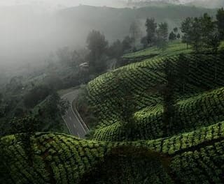 Tea Tourism Package in Assam with full Itineraries