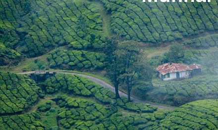 Tourist attractions in Munnar